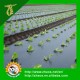 PE Pre- Stretch Black Mulch Film for Agriculture and Gardening Use